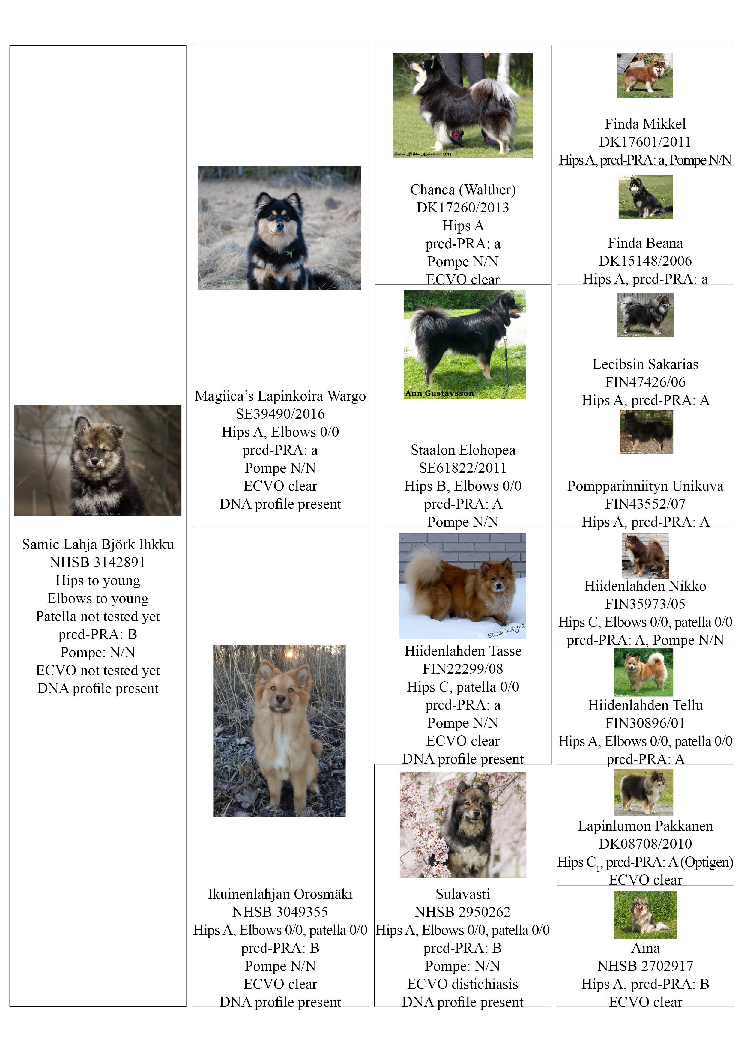 Stamboom SamicLahja Bjork Ihkku